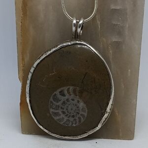Handmade Ammonite Fossil Pendant With Chain .925 Sterling Pendant x kalyjwls